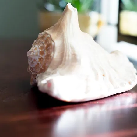 Casa vacanze Maria's House